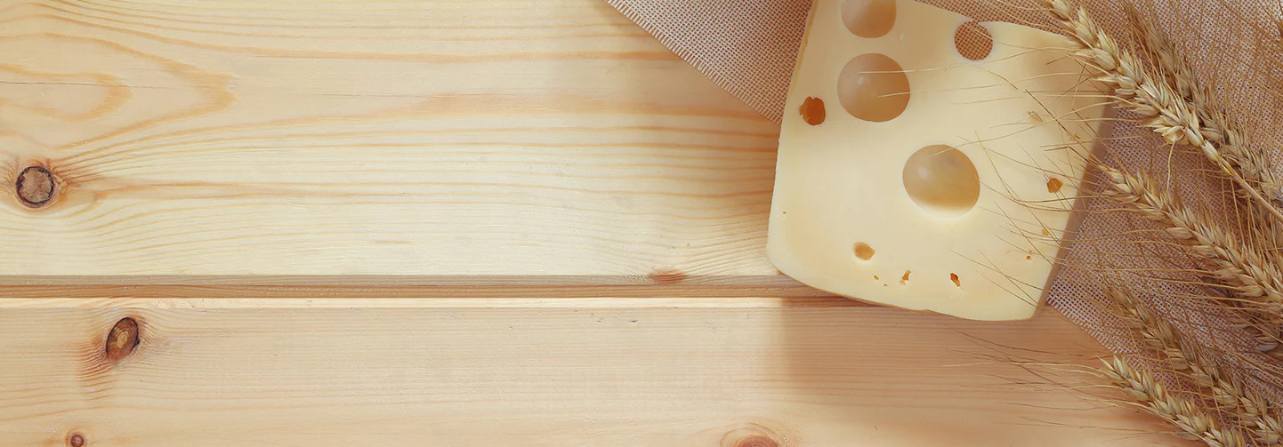 Best Quality Premium Cheese